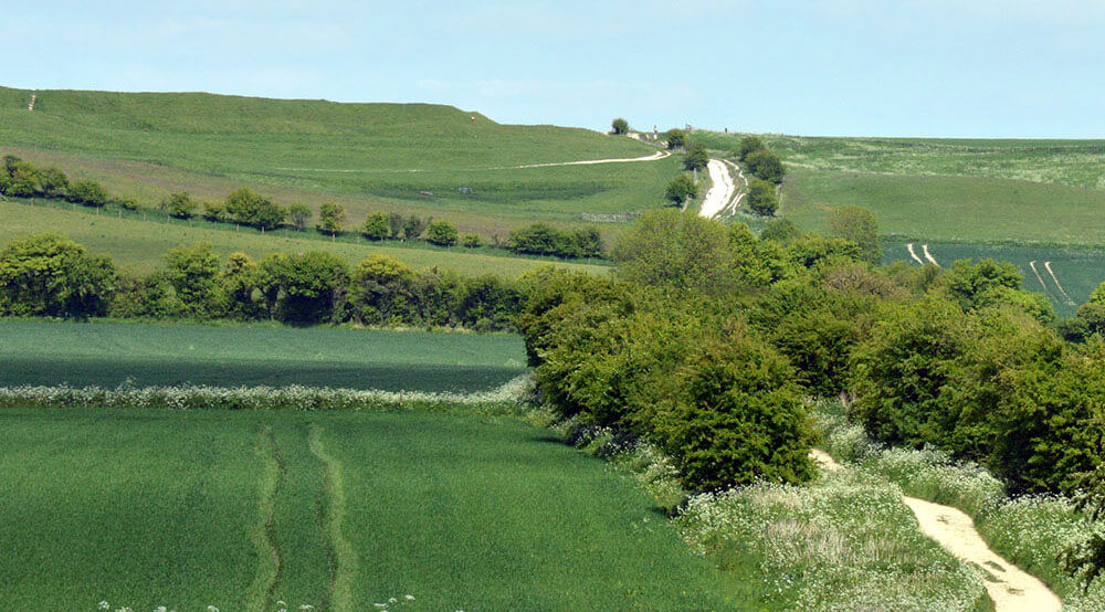 Oxfordshire walk: The Ridgeway