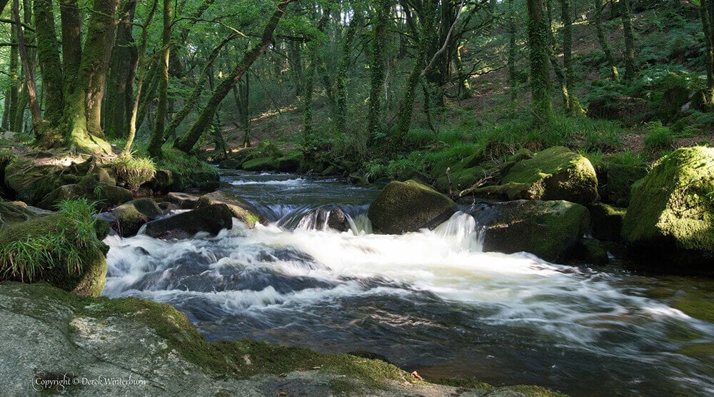 Top 10 things to do in south east Cornwall: Golitha Falls Nature Reserve