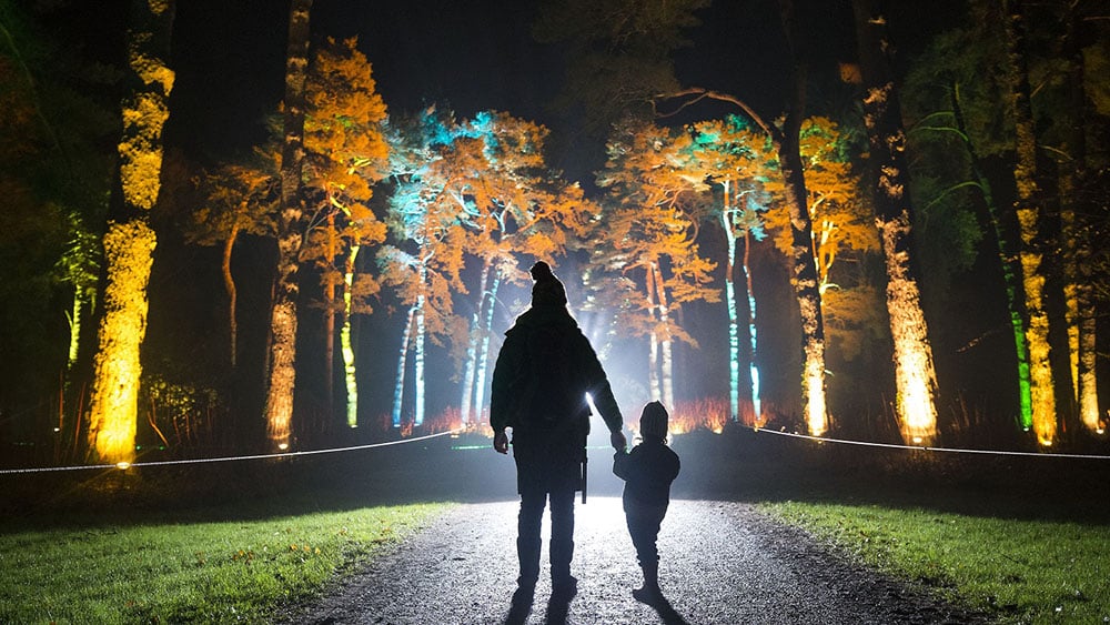 Cotswolds Christmas: Enchanted Christmas at Westonbirt