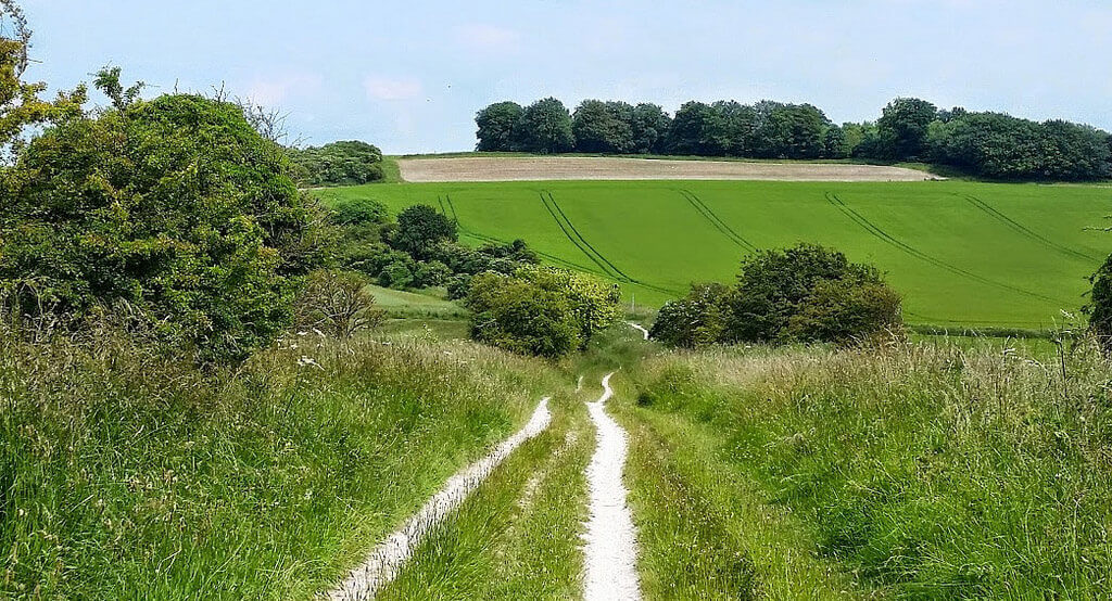 Oxfordshire walk: The Ridgeway