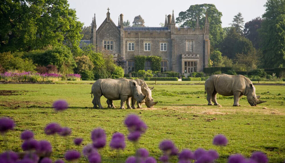 Top 10 things to do in the Cotswolds: Cotswold Wildlife Park & Gardens