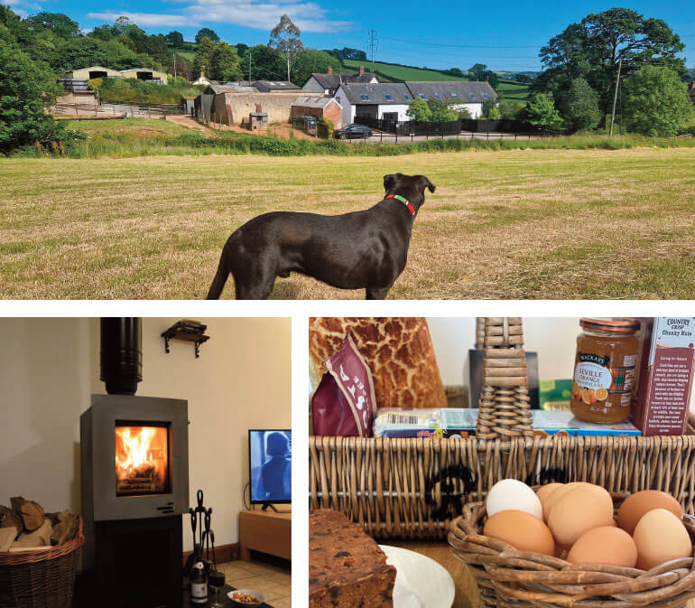 cosy cottages: Lower Curscombe Barns: Hunters Moon and Harvest Moon, East Devon