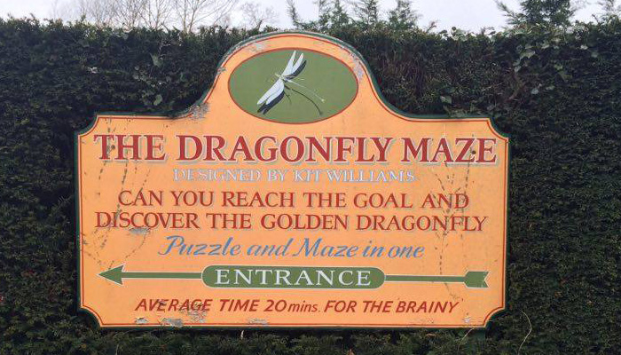 Top 10 things to do in the Cotswolds: Dragonfly Maze