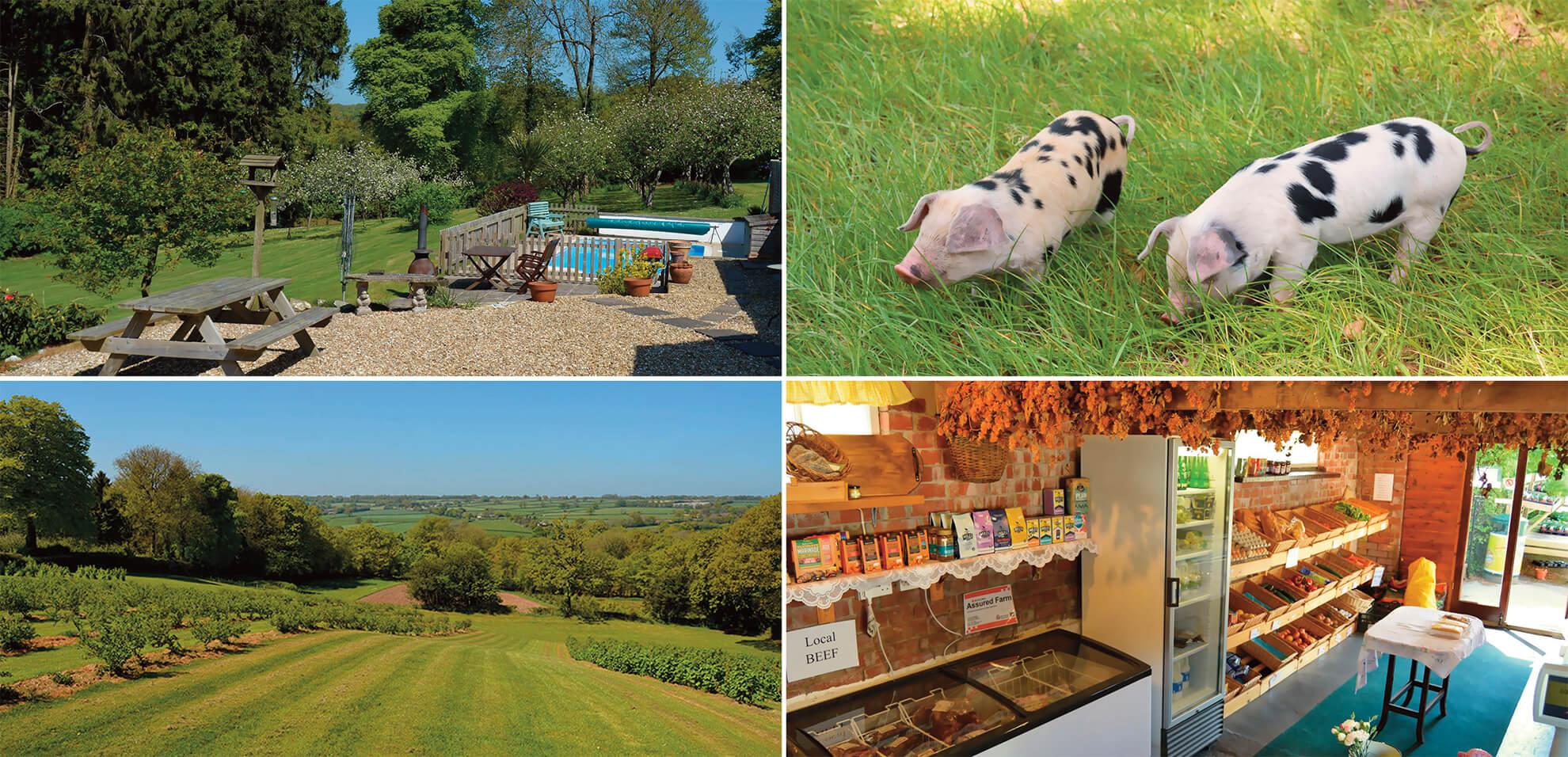 holidays for wildlife lovers: Stable Cottage, Wiltshire