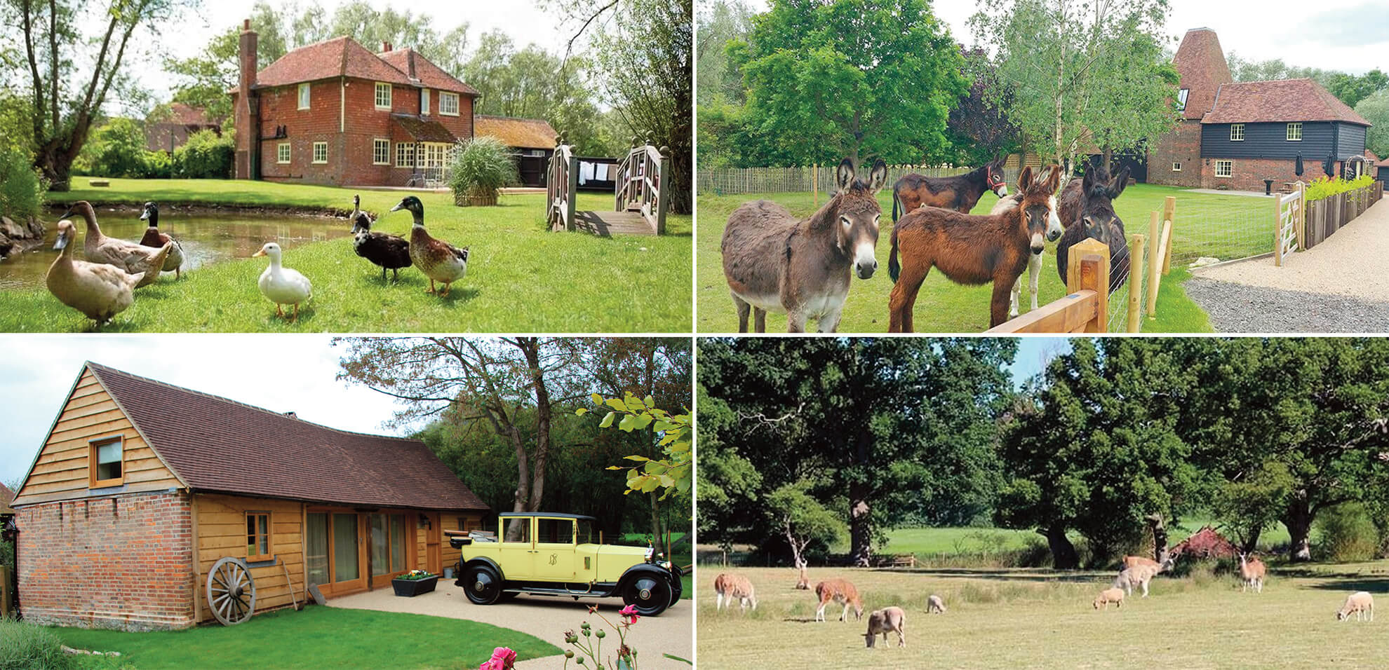 holidays for wildlife lovers: Cotswold Water Park holiday cottages