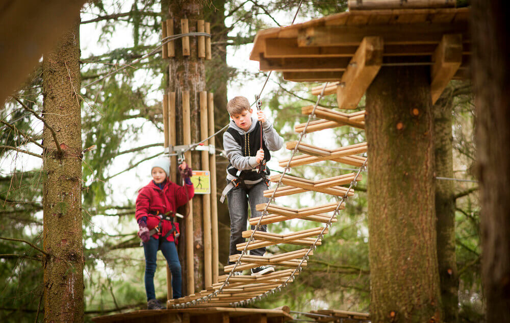 Autumn activities: Treetop adventure in the Forest of Dean