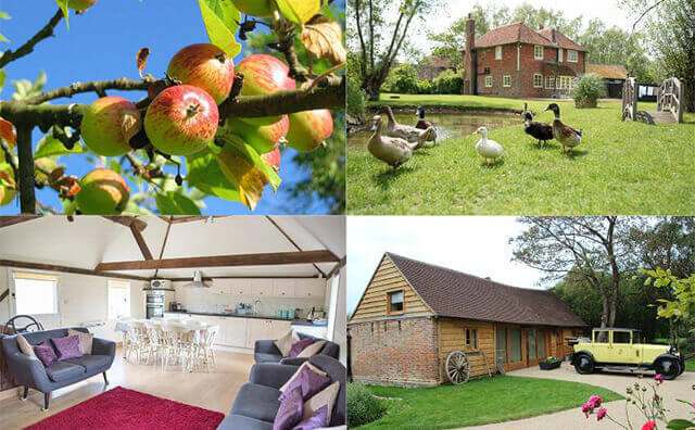 Cider Tours in Kent