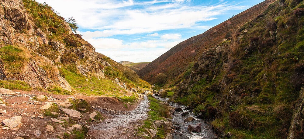 Autumn Walks: Carding Mill Valley by Brian Smithson