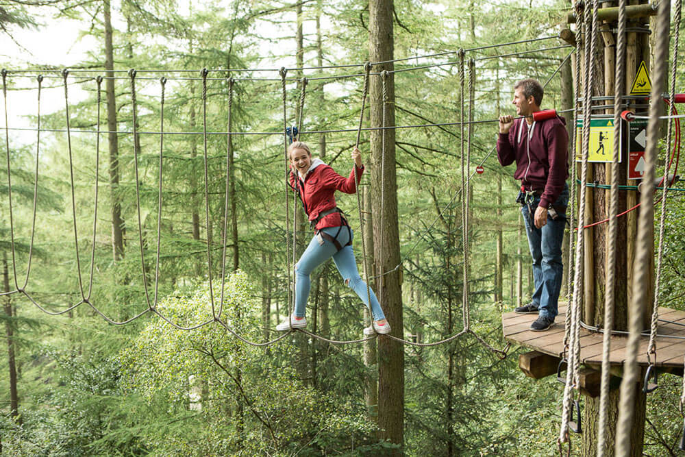 Top 10 things to do in Norfolk: Go Ape! at Thetford Forest