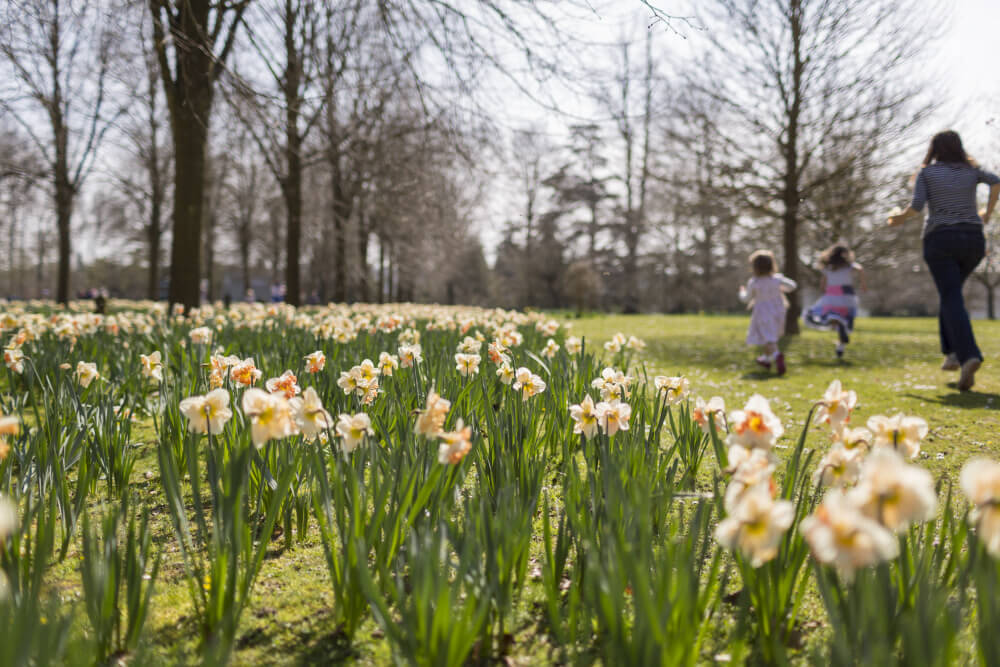 Easter attractions: National Trust Easter Hunt