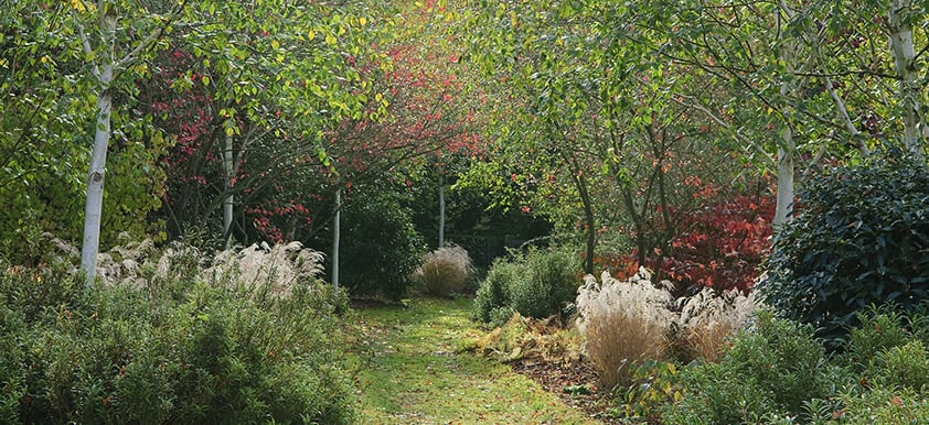 Essex Gardens: Marks Hall Gardens & Arboretum