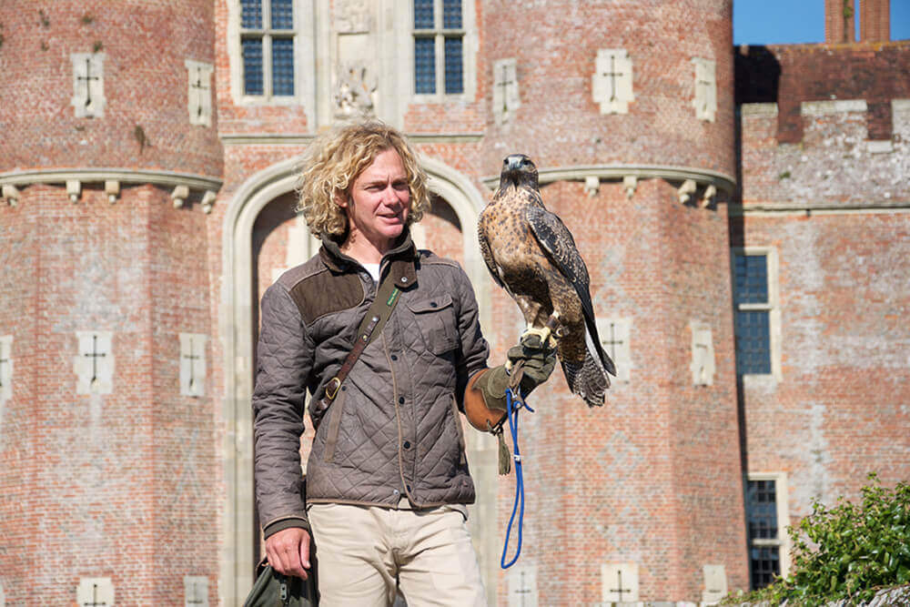 Top 10 things to do in East Sussex: East Sussex Falconry