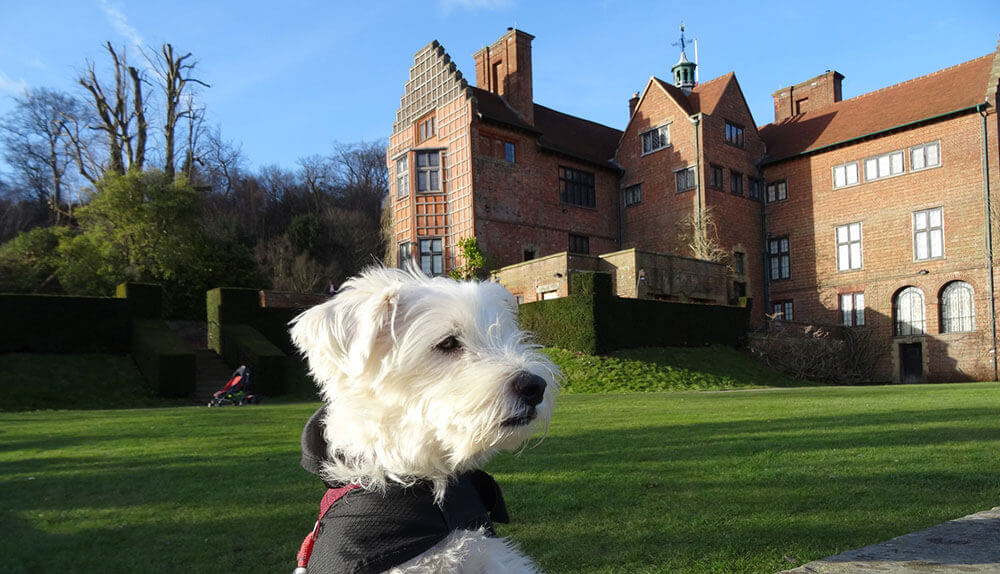 Dog-friendly attractions in Kent: Chartwell