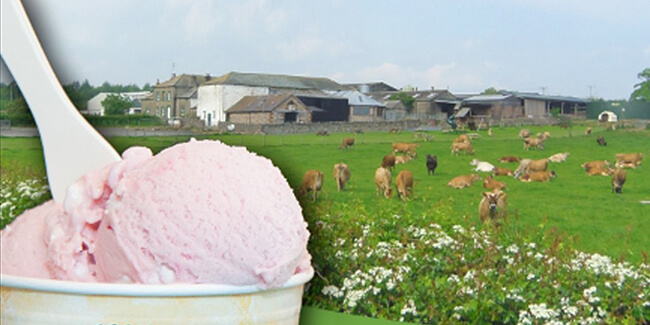 Cumbria attractions: Abbotts Lodge Ice Cream Farm, Penrith