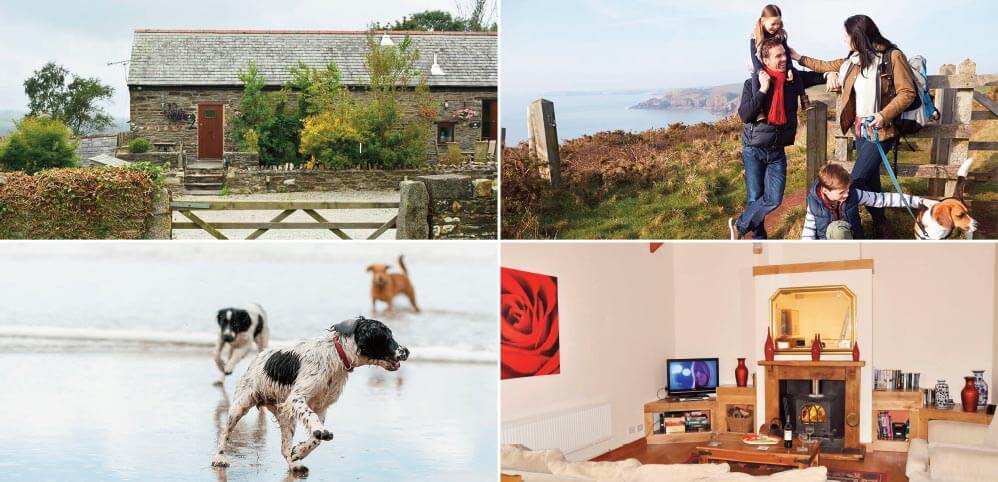 autumn holiday offers: Robin's Nest, Cornwall