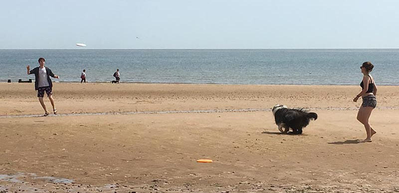 beach activities: kids and dog playing frisbee on Frinton beach