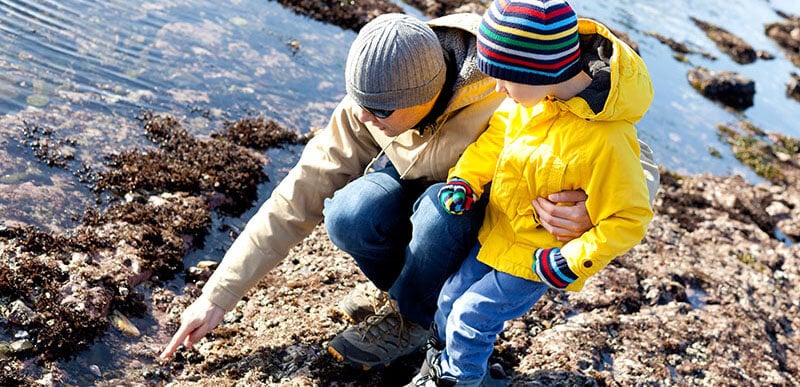 beach activities: father and son rockpooling