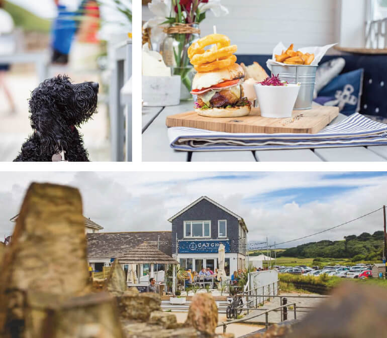 Dog friendly Cornwall beach cafés: Staycation Holidays, Catch Seafood Bar & Grill, Mawgan Porth Beach, North Cornwall