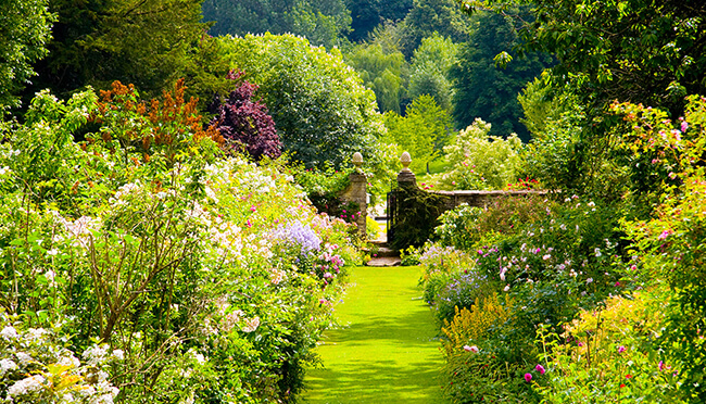best gardens in the Cotswolds: Cerney Gardens