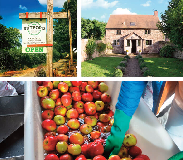 Cider Farm: Butford Organics, Herefordshire