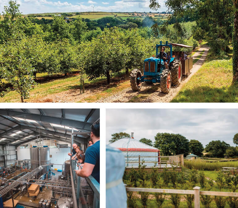 Cider Farm: Healey's Cornish Cyder Farm