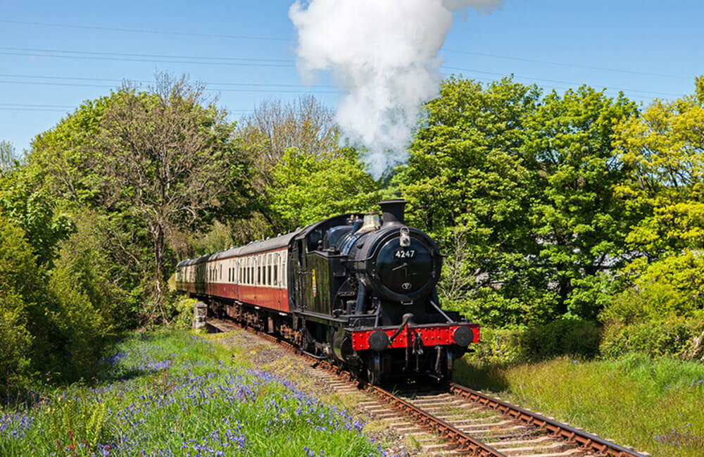 dog friendly days out in South East Cornwall: Bodmin and Wenford Railway