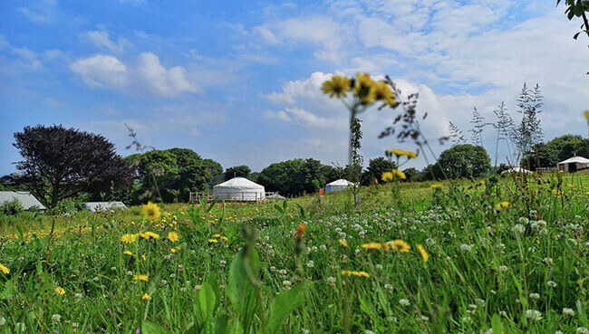 Covid-19 Book with Confidence guarantee: Glamping Yurts, Fir Hill Estate, Colan, Cornwall