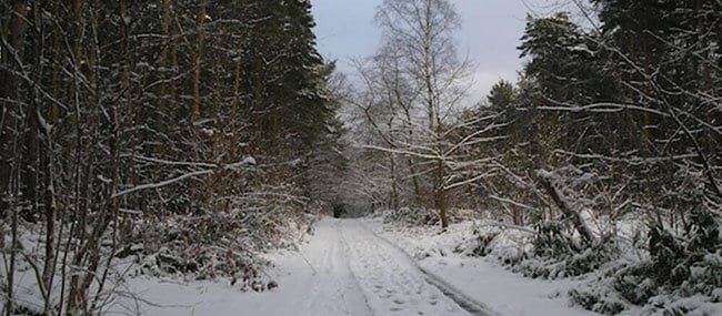 10 unmissable winter walks: Holt Country Park