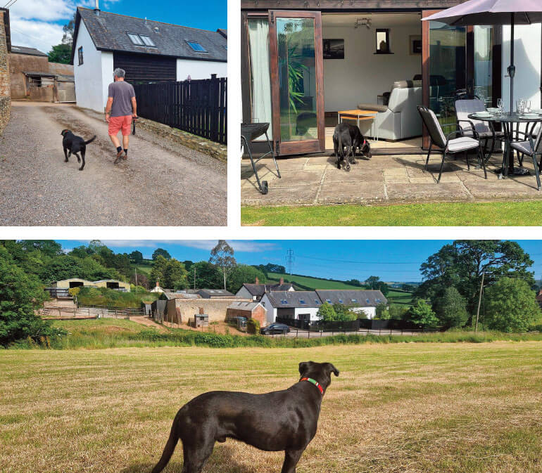 dog friendly days out in East Devon: Staycation Holidays dog friendly cottages in Devon