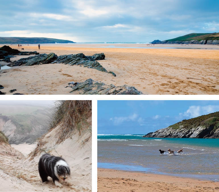 Dog-friendly Cornwall beaches: Staycation Holidays, 2. Crantock Beach, north Cornwall