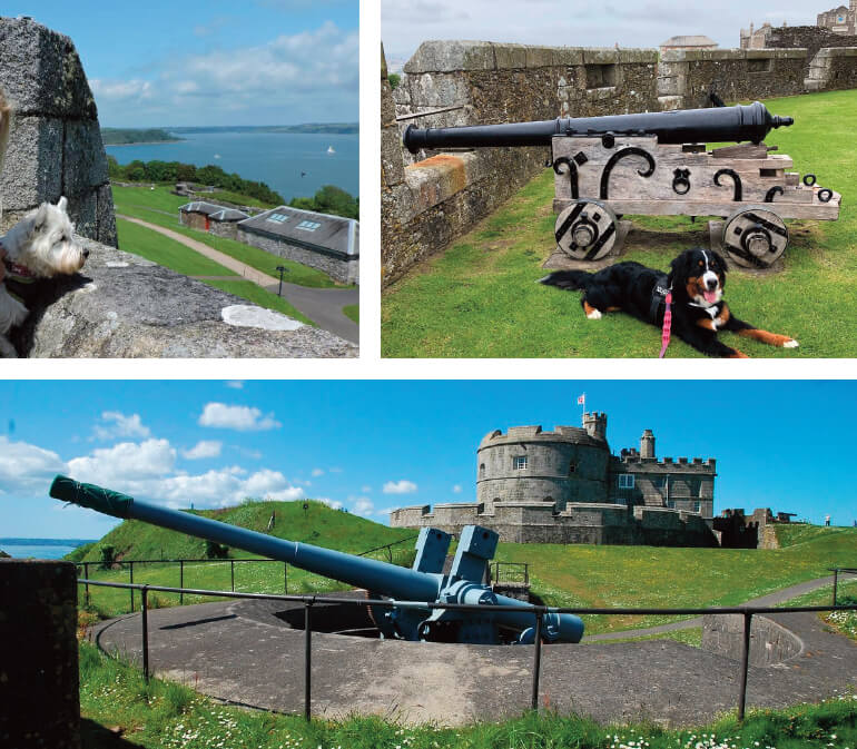 Dog friendly days out in Cornwall: Staycation Holidays, Pendennis Castle, Castle Drive, Falmouth, Cornwall