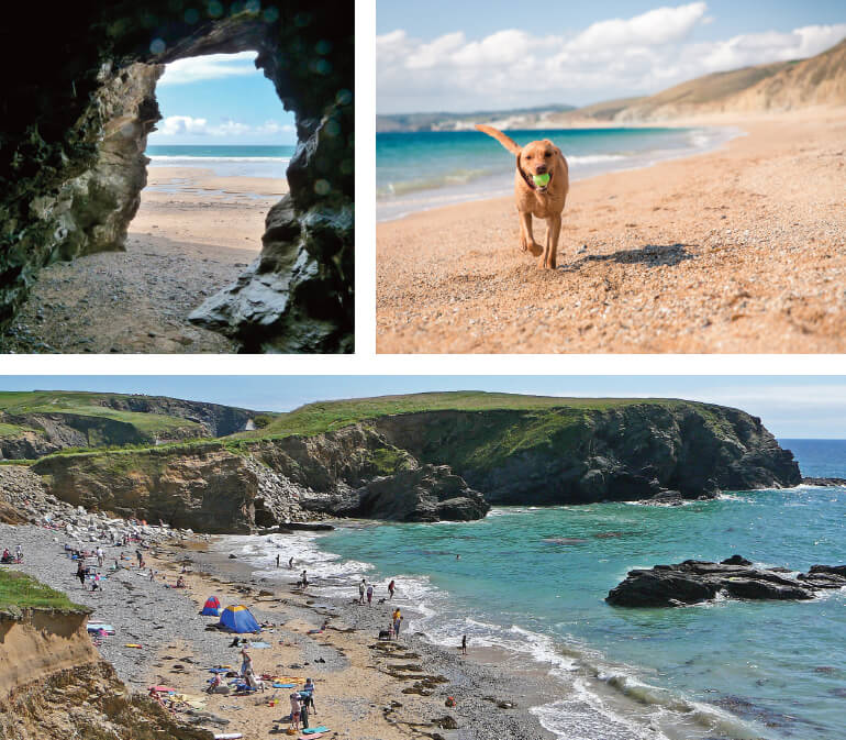 Dog-friendly Cornwall beaches: Staycation Holidays, Dollar Cove, Lizard Peninsula, west Cornwall