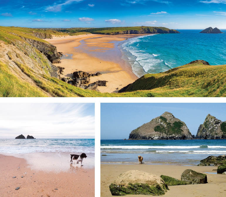 Dog-friendly Cornwall beaches: Staycation Holidays, Holywell Bay, near Newquay, north Cornwall