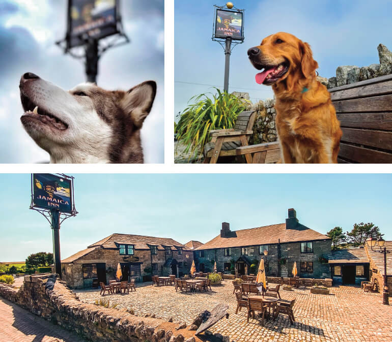 Dog friendly days out in Cornwall: Staycation Holidays, Jamaica Inn, Bolventor, Bodmin Moor, Cornwall