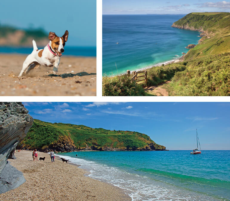 Dog-friendly Cornwall beaches: Staycation Holidays, Lantic Bay, south east Cornwall