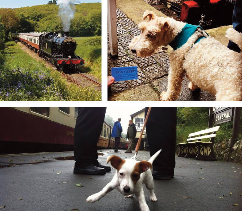 Dog friendly days out in Cornwall: Staycation Holidays, Bodmin & Wenford Railway, Bodmin, Cornwall