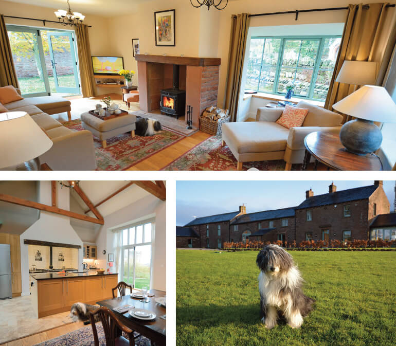 Dog-friendly holiday cottages: Staycation Holidays, The Rowley Estates, Cumbria
