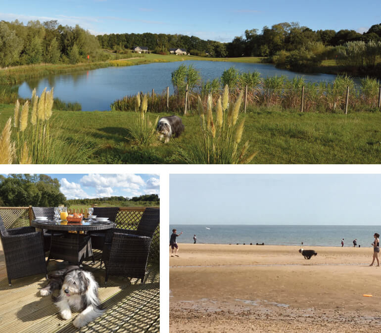 Dog-friendly holiday cottages: Staycation Holidays, Wakes Hall Lodges, Wakes Colne, Essex