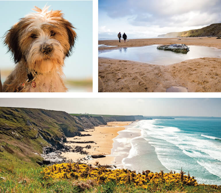 Dog-friendly Cornwall beaches: Staycation Holidays, Watergate Bay, near Newquay, north Cornwall