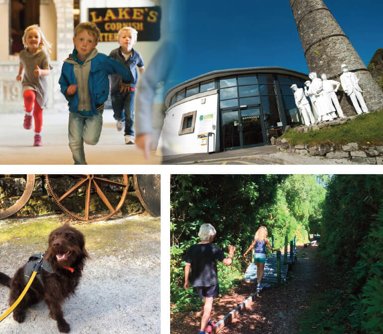 Dog friendly days out in Cornwall: Staycation Holidays, Wheal Martyn, St Austell, Cornwall