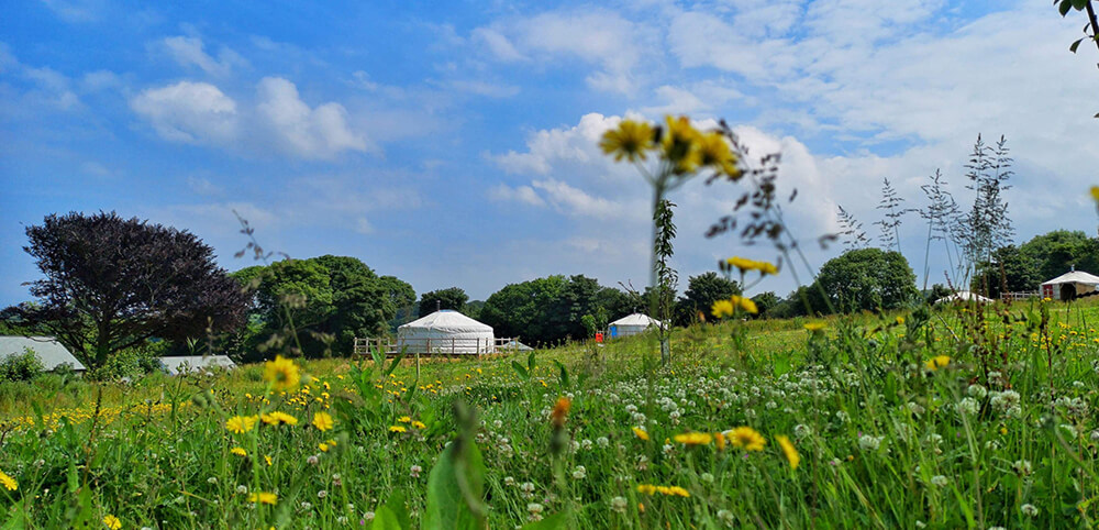 Eco stays: Fir Hill Glamping Yurts, Cornwall