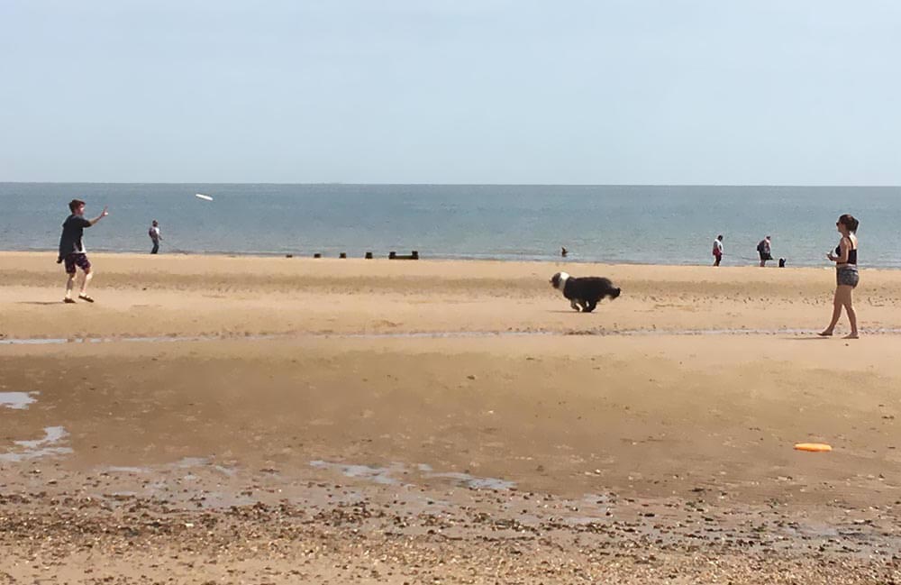 Dog Friendly Days out in Essex : Frinton Beach