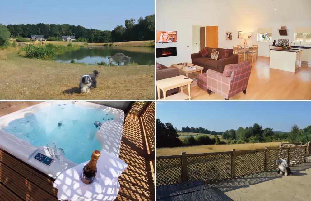 Dog Friendly Days out in Essex : Staycation Holidays dog friendly cottages in Essex