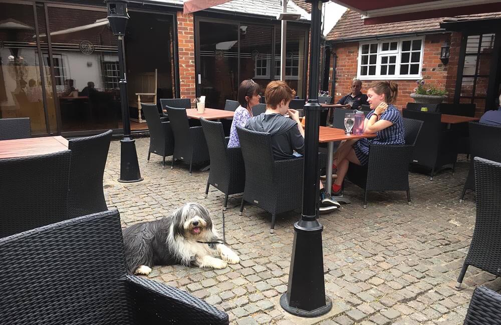 Dog Friendly Days out in Essex: The Swan Inn, Wakes Colne