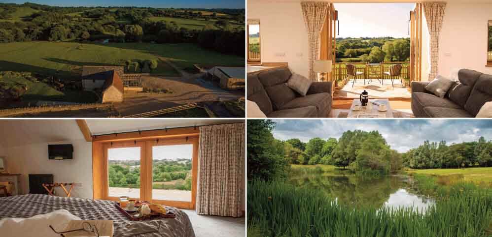 Holidays in Beautiful Grounds: Goose Run Cottage, Corscombe, West Dorset