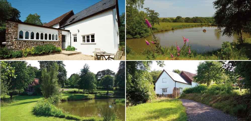 Holidays in Beautiful Grounds: Woodland Cottage, North Devon