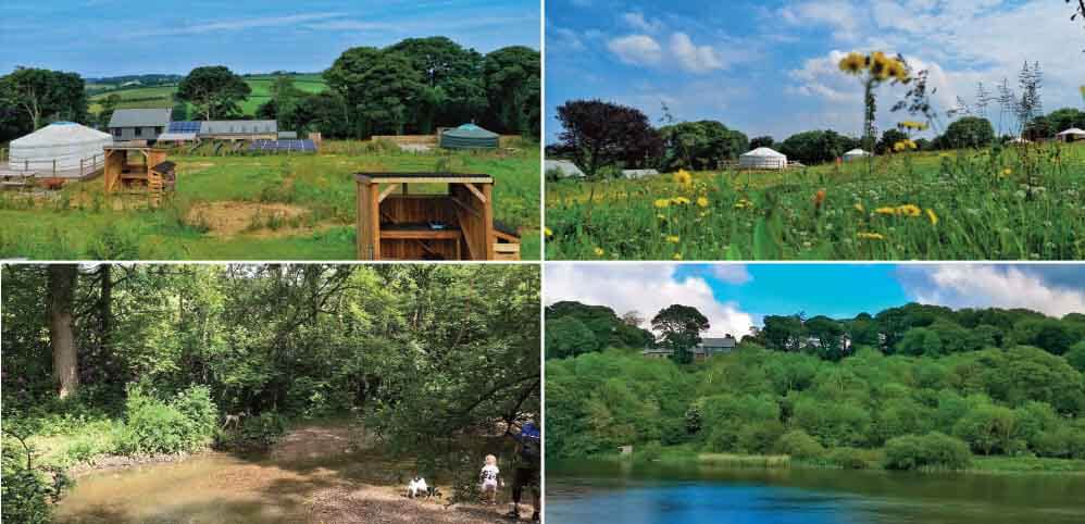 Holidays in Beautiful Grounds: Real Glamping at The Fir Hill, Colan, near Newquay, Cornwall