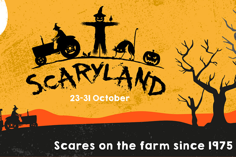 October half-term Activities in Cornwall: Staycation Holidays, Scaryland at Dairyland Farm Park