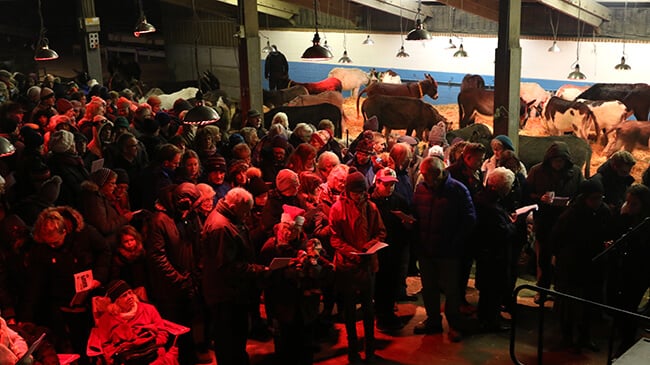 best Christmas light displays in the UK: The Donkey Sanctuary by Candlelight, Sidmouth, Devon