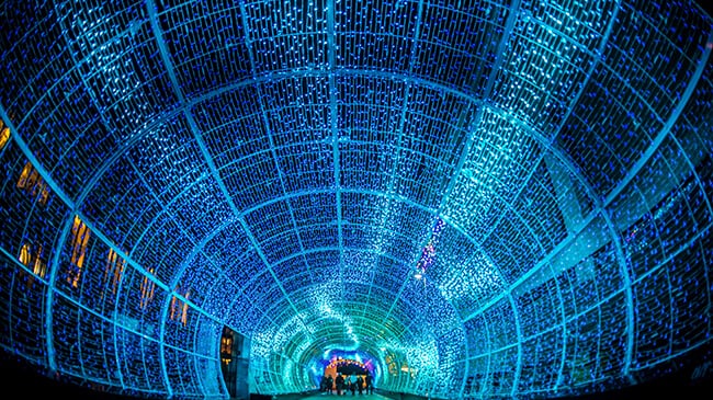 best Christmas light displays in the UK: Tunnel of Light, Norwich